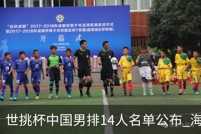 世挑杯中国男排14人名单公布 海宁挂帅江川任队长
