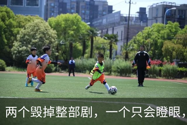 两个毁掉整部剧，一个只会瞪眼，一个吵到难受，难怪观众纷纷弃剧