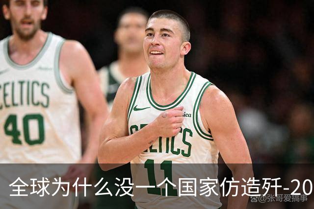 全球为什么没一个国家仿造歼-20，瑞典已破译！