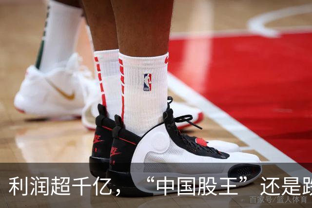 利润超千亿，“中国股王”还是跌疼了股民