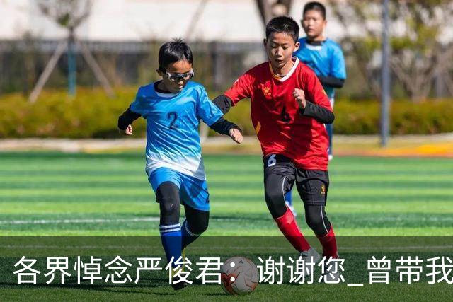 各界悼念严俊君：谢谢您 曾带我们“看世界”