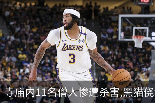 寺庙内11名僧人惨遭杀害,黑猫侥幸存活,警方赶到后它叼来一把钥匙
