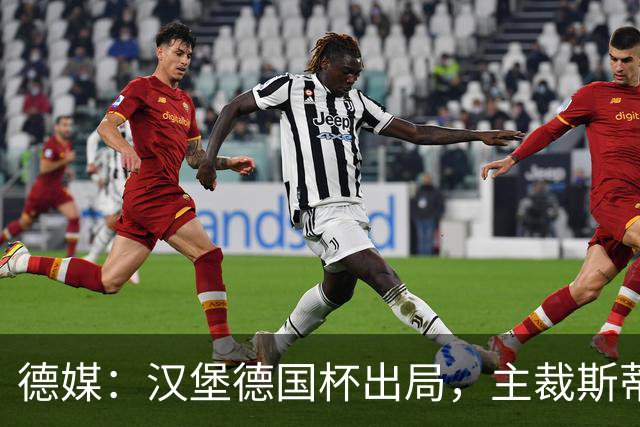 德媒：汉堡德国杯出局，主裁斯蒂勒承认漏判点球
