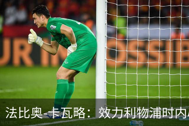 法比奥-卡瓦略：效力利物浦时内心非常空虚，沉迷派对和饮酒