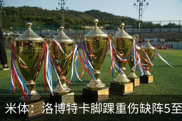米体：洛博特卡脚踝重伤缺阵5至7周，年底前有望复出