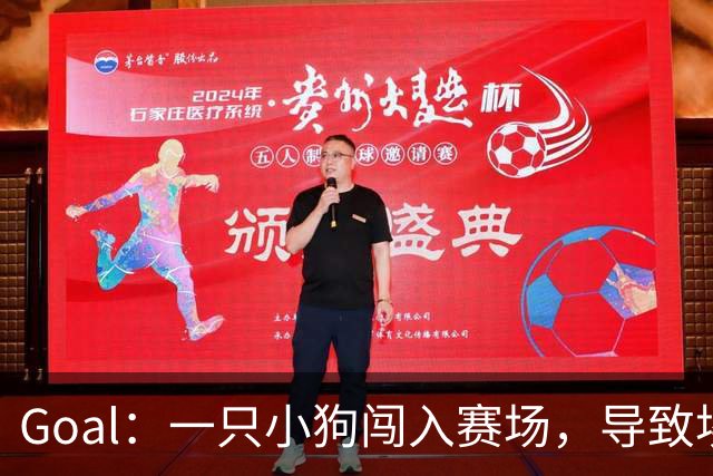 Goal：一只小狗闯入赛场，导致埃及联赛中断